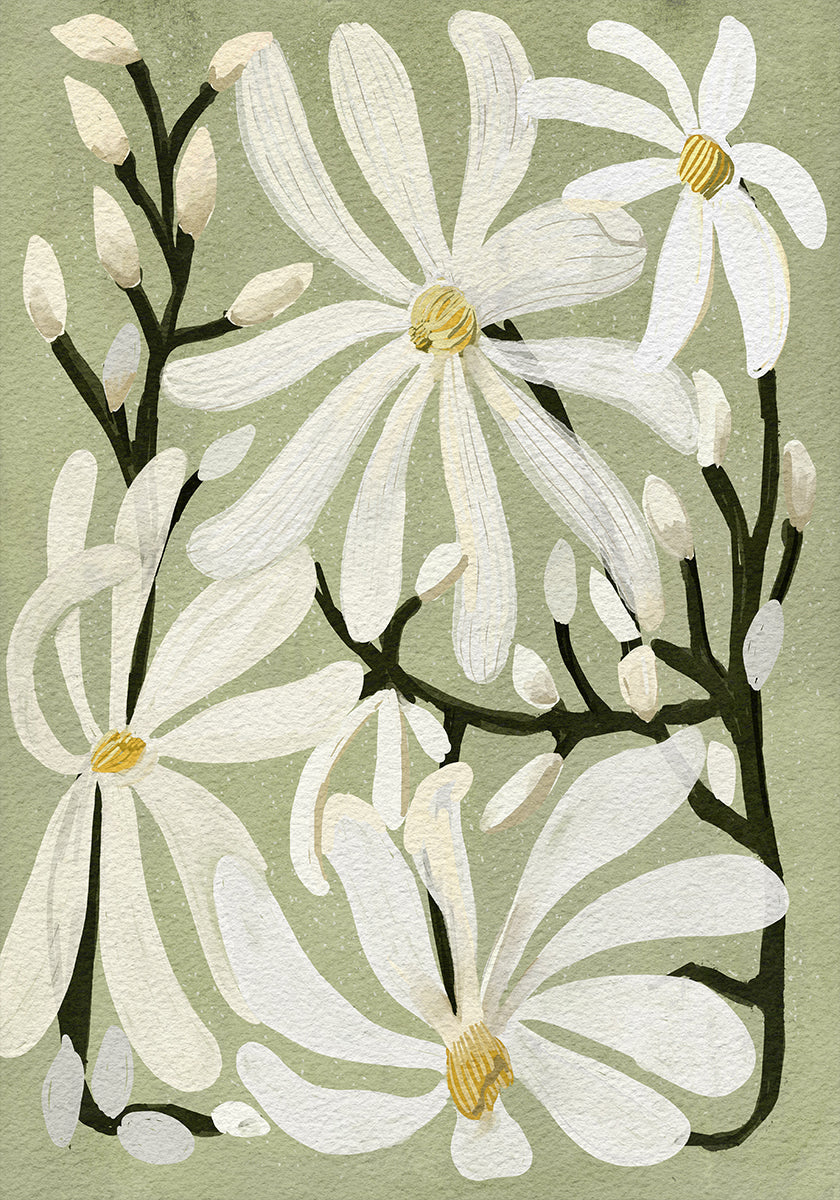 Plakat Star Magnolia Florals na tle szałwii