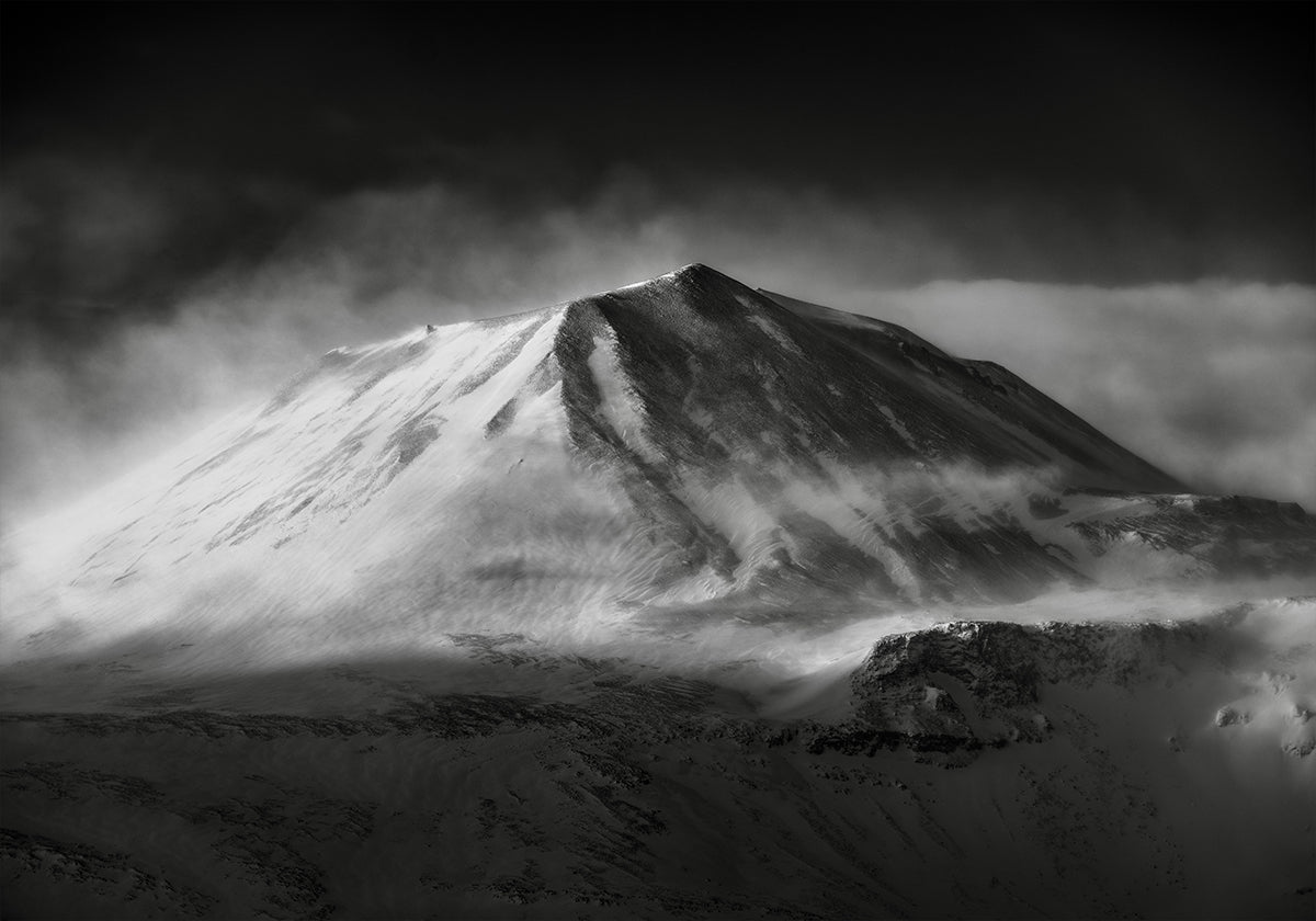 Plakat wstawienniczy