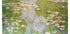 Water Lilies Landscape 1919 Plakat by Claude Monet - Posterbox.no
