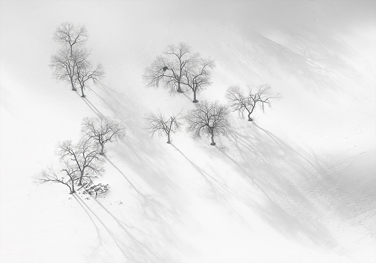 Plakat Zimowy sen - nieruchomy balet