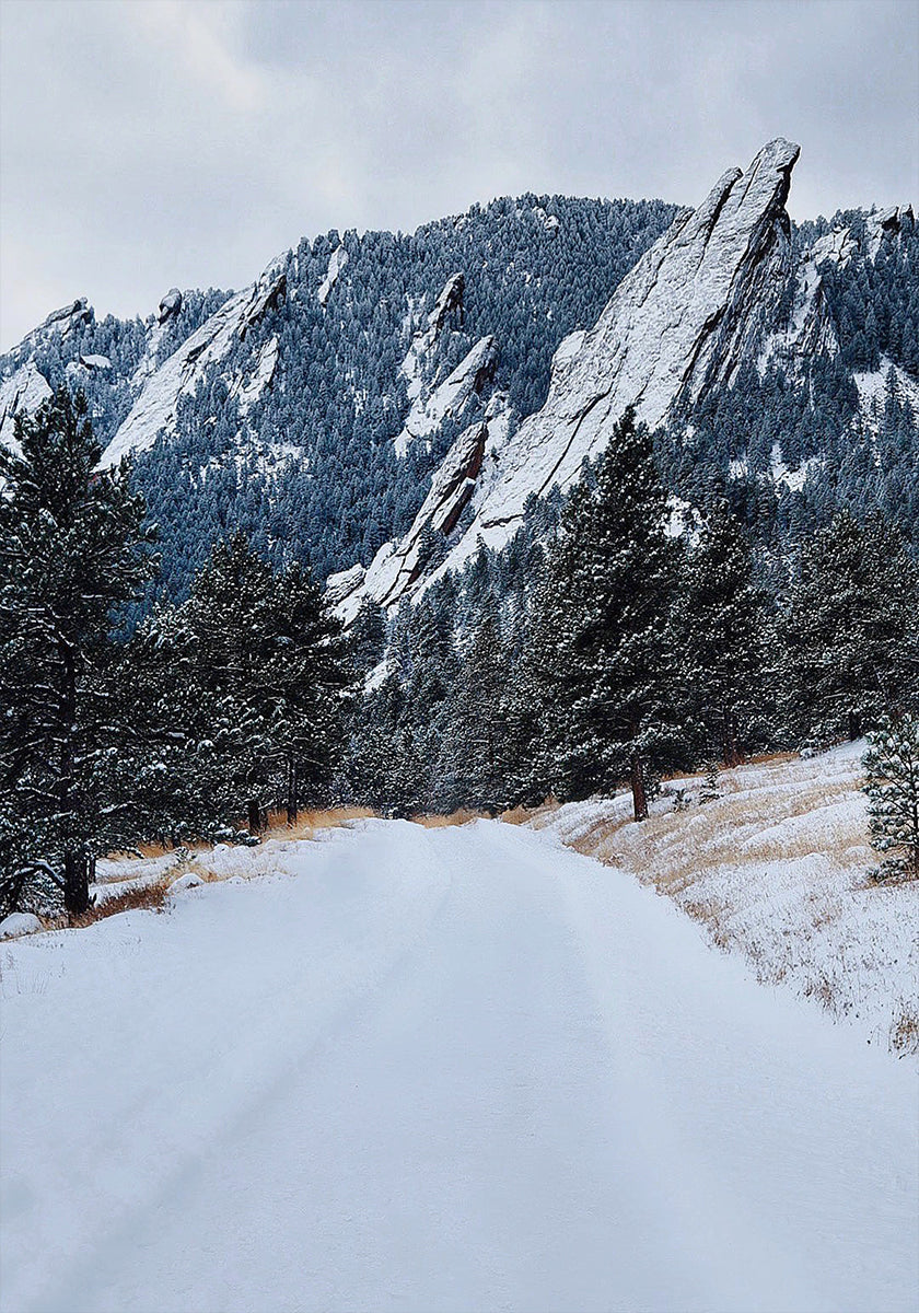 Plakat Mrożone Flatiron
