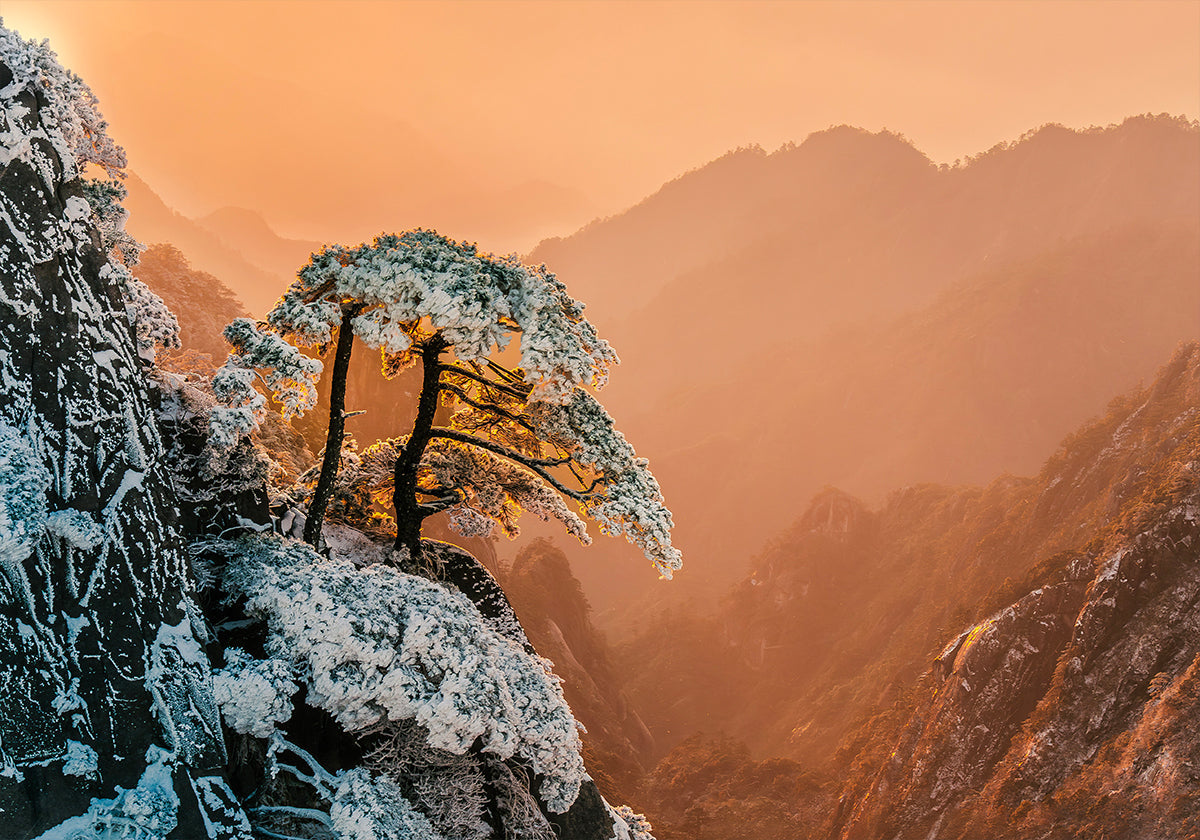 Plakat Odporność na krawędzi