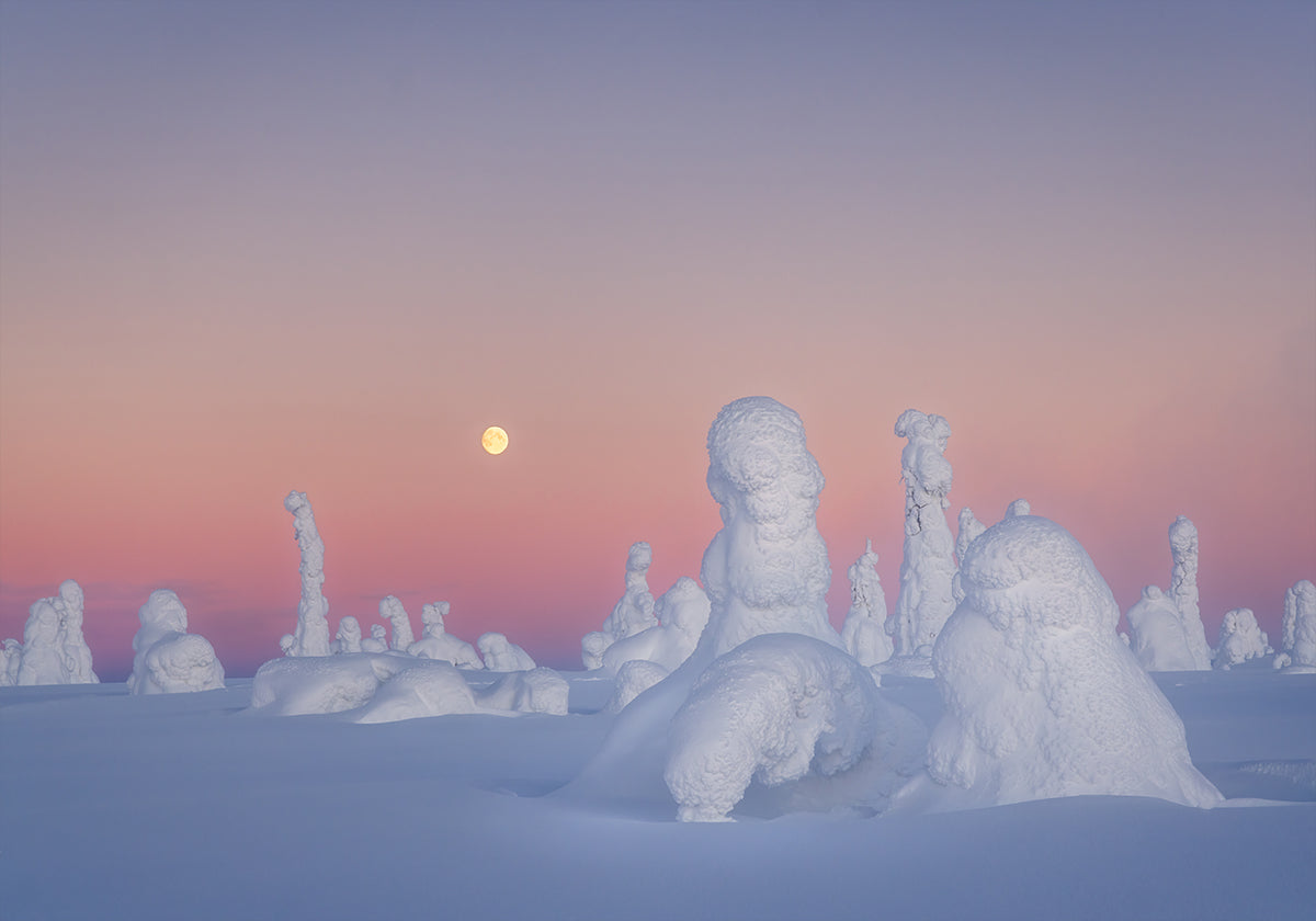 Plakat dramatu Szekspira