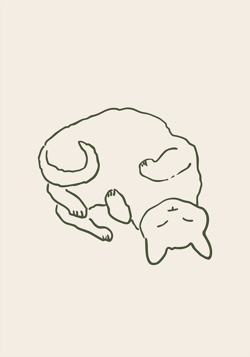 Przytulny kot do przytulania (NOWOŚĆ)