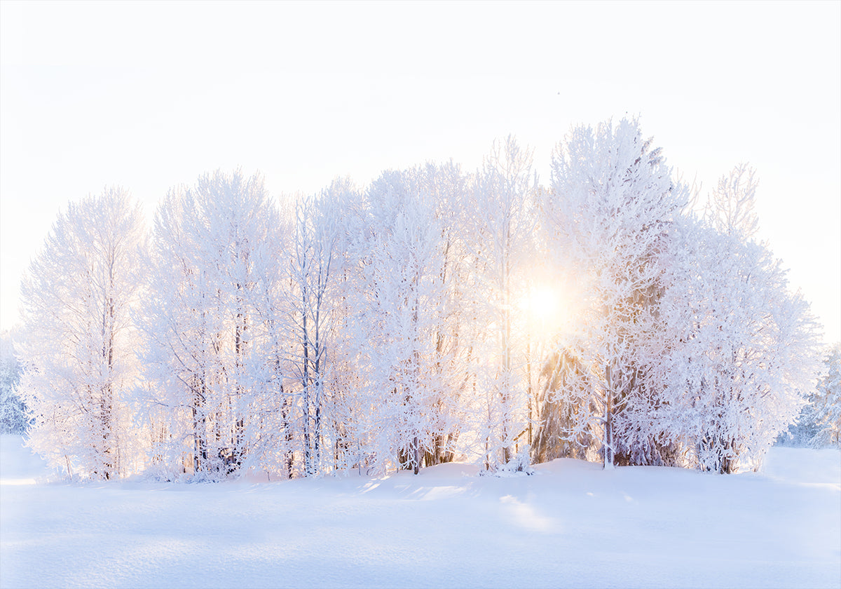 Światło powraca Plakat