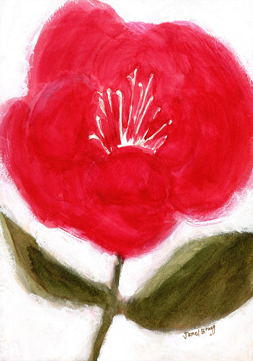 Kwiatowy w kolorze czerwonym dla plakatu Cierra