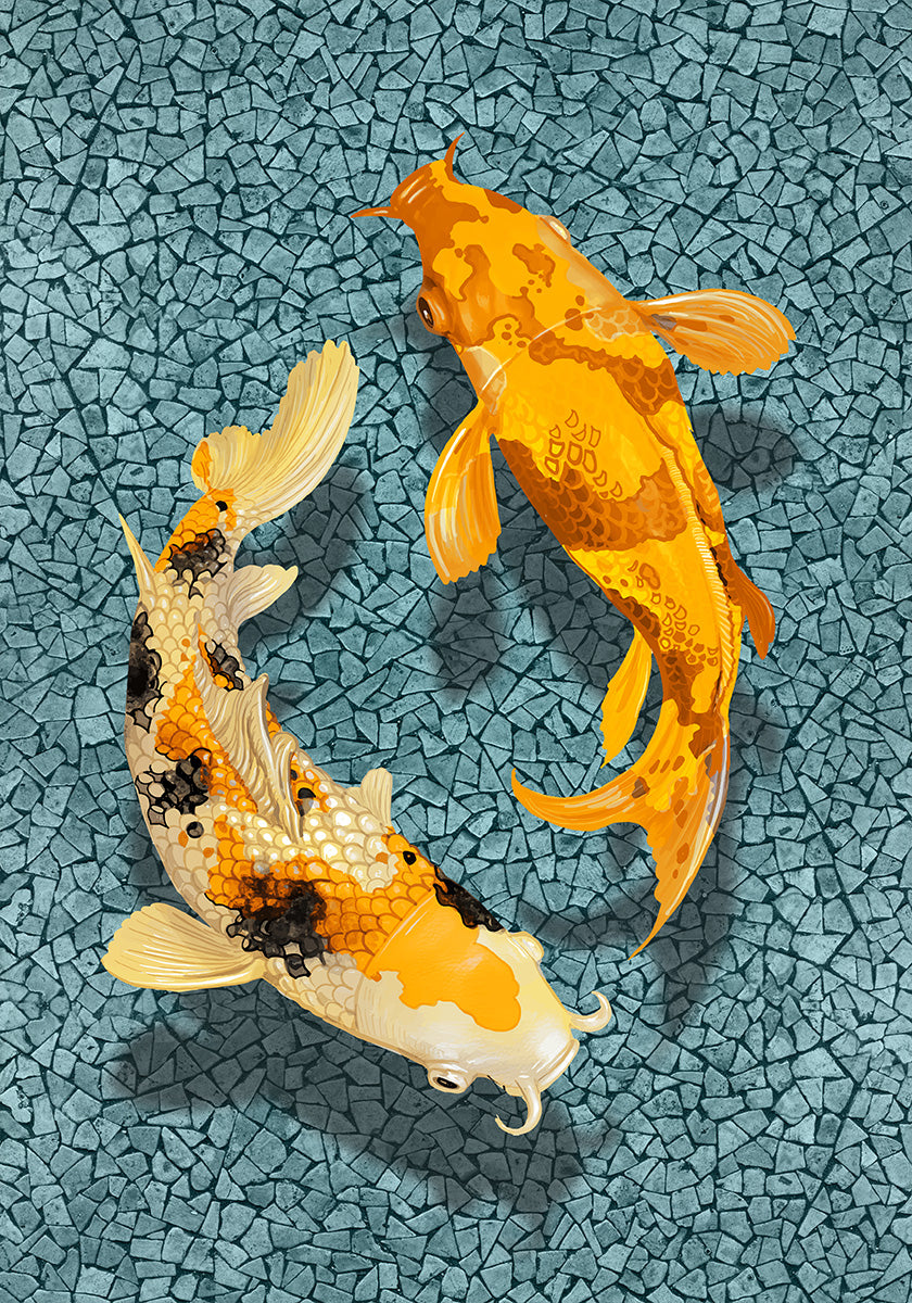 Koi Plakat - Posterbox