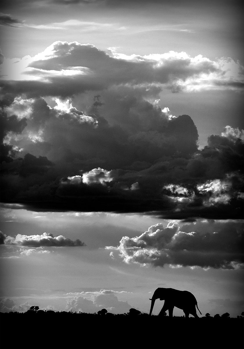 He walks under an African Sky - Posterbox