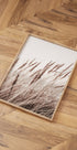Boho Dried In Nature Plakat - Posterbox.no