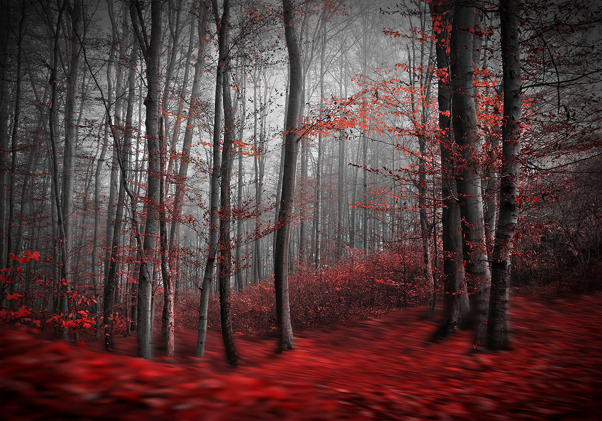 Plakat Krwawej Rzeki