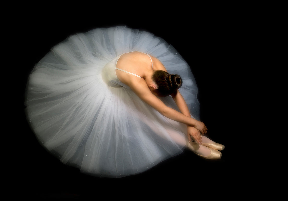 Elegancja