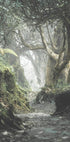 Mystical Forest Plakat - Posterbox.no