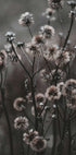 Forest Flowers Plakat - Posterbox.dk