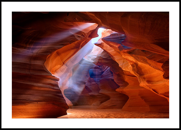 Plakat Pure Photodelight 2