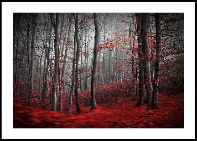 Plakat Krwawej Rzeki