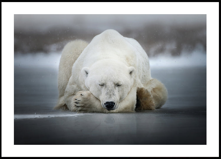 Plakat Marzy samotnie