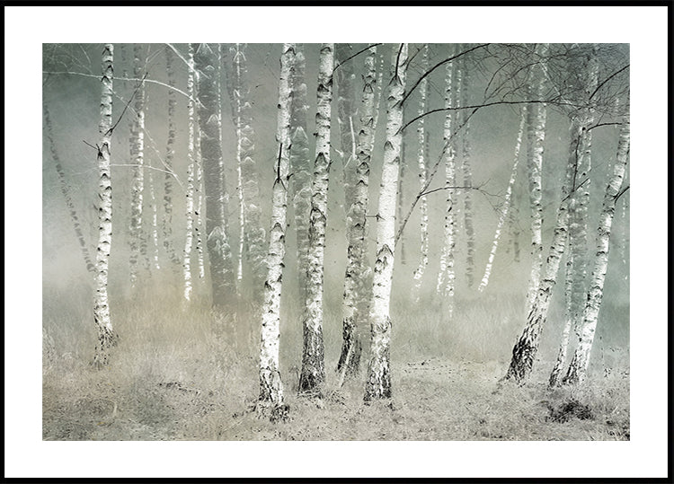 Plakat Cisza poranna