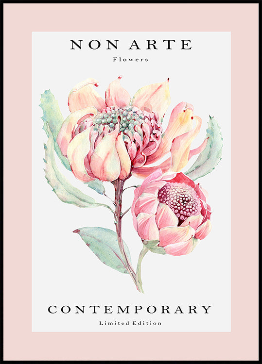 Plakat z kwiatem róży Non Arte