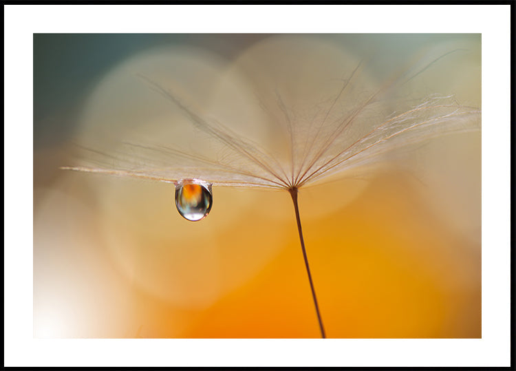 Mała Nocna Muzyka...