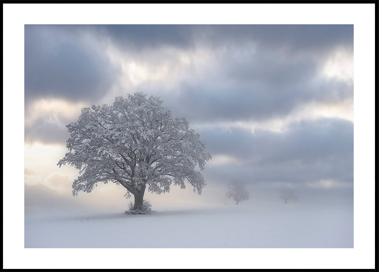 Plakat zimny poranek