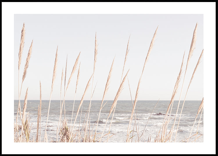 Plakat Beach_Vass_002