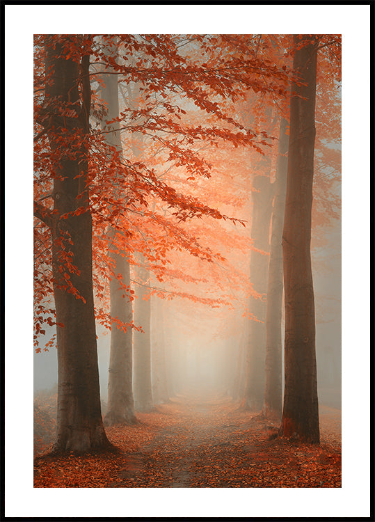 Plakat jesiennych snów