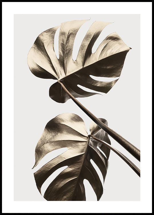 Plakat Monstera Gold 08