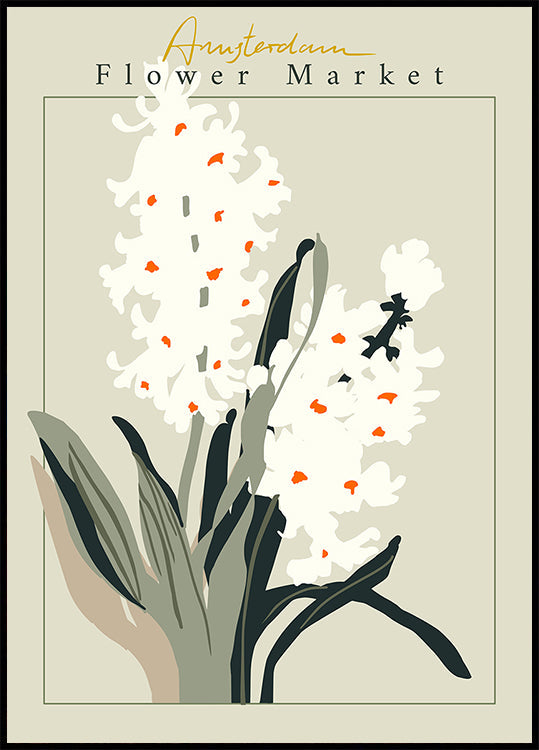Plakat z hiacyntem na targu kwiatowym w Amsterdamie