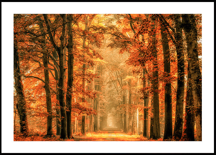 Wyjdź z plakatu portalu