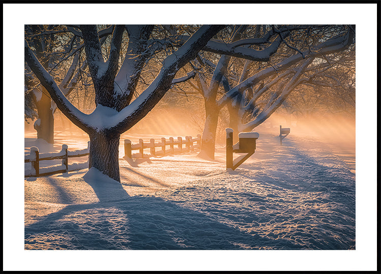 Plakat Po burzy śnieżnej