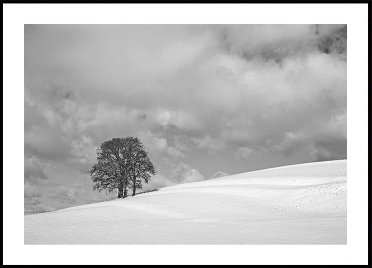 Plakat w pochmurny zimowy dzień