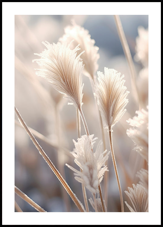 Plakat o matowej elegancji