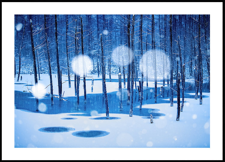 Plakat w Krainie Baśni