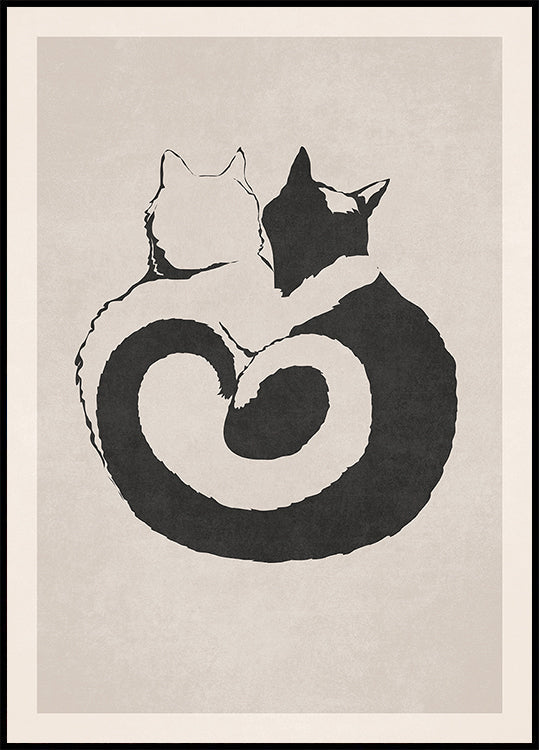 Plakat z kotem Yin Yang