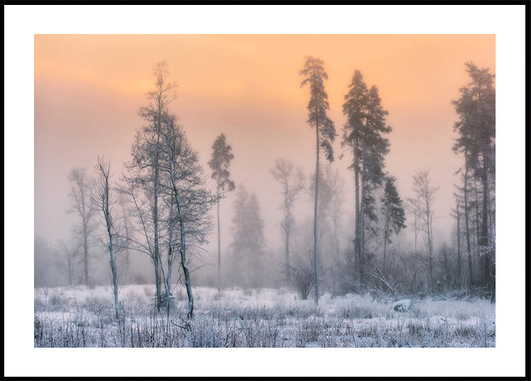 Plakat mroźny poranek
