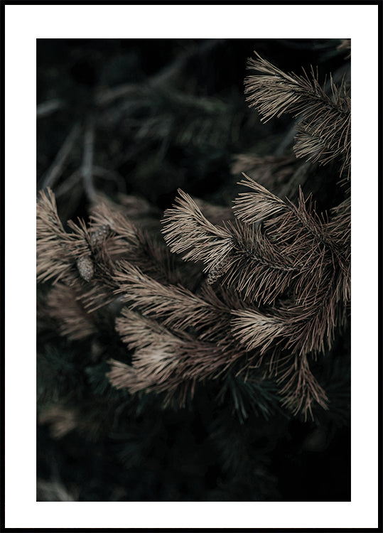 Fir Needle No. 2 Plakat - Posterbox.dk