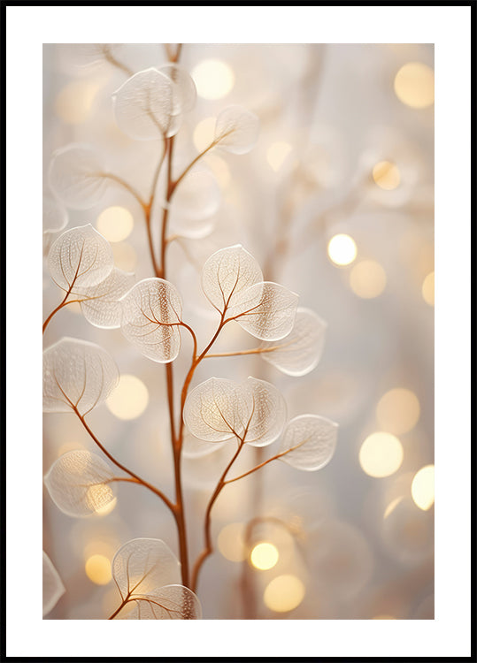 Plakat eterycznego blasku