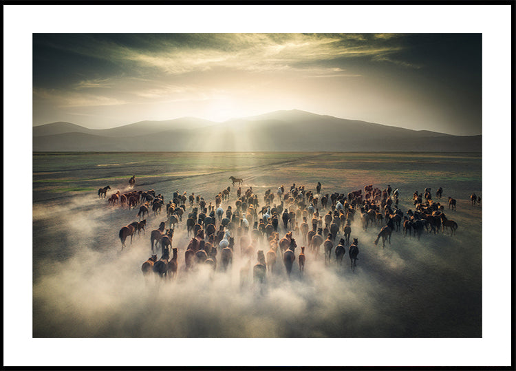 Plakat z dzikimi końmi