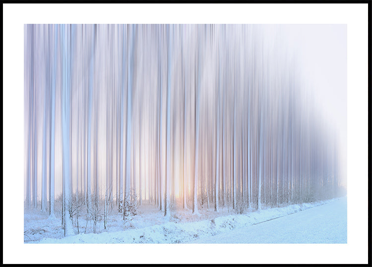 Plakat zasłona drzew