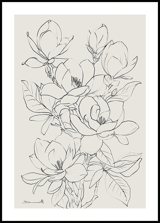 Drzewo Magnolii