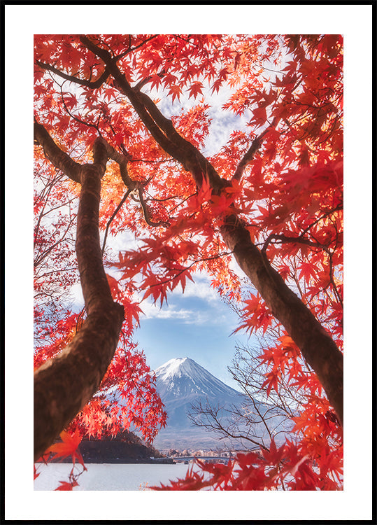 Plakat Mt.fuji jest w jesiennych liściach