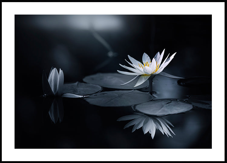 Plakat Refleksyjny