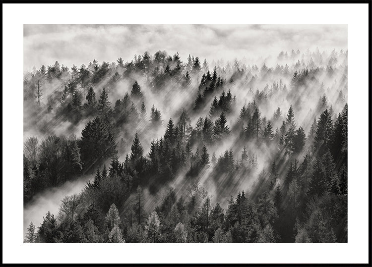 Plakat Sundance nr 1