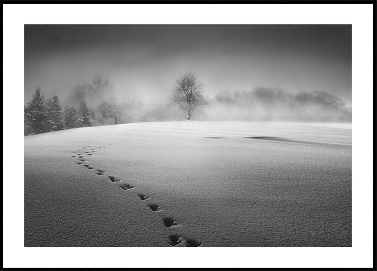 Winter scenery Plakat