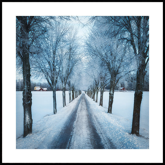 Swedish winter Plakater