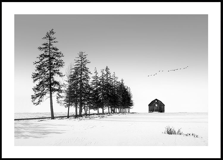 Plakat w słoneczny zimowy dzień