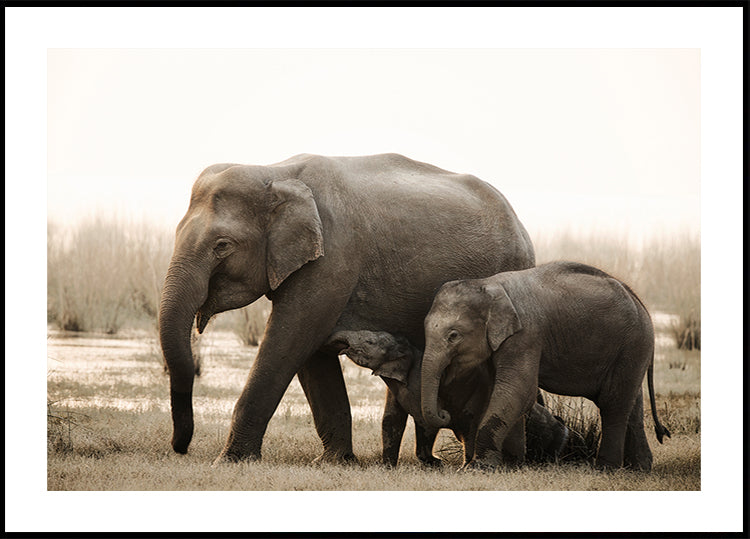 Plakat portret rodzinny