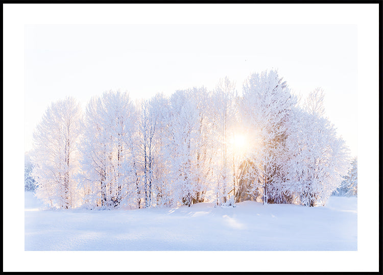 Światło powraca Plakat