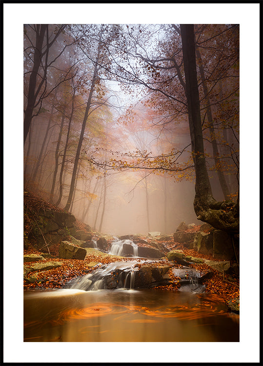 Plakat z mistyczną mgłą