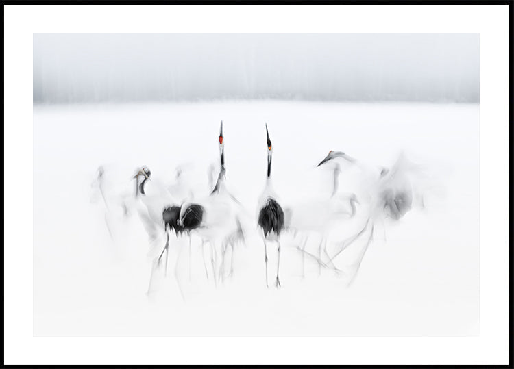 Plakat baletowy kaligraficzny